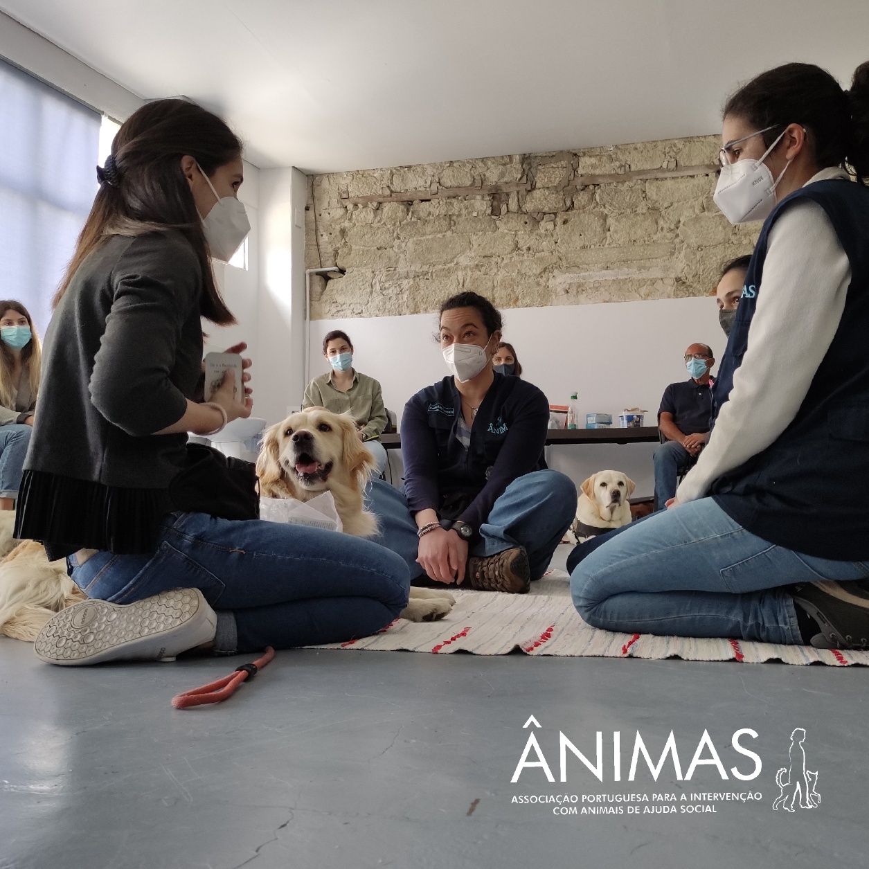 Simulação de uma sessão de Intervenções Assistidas por Animais