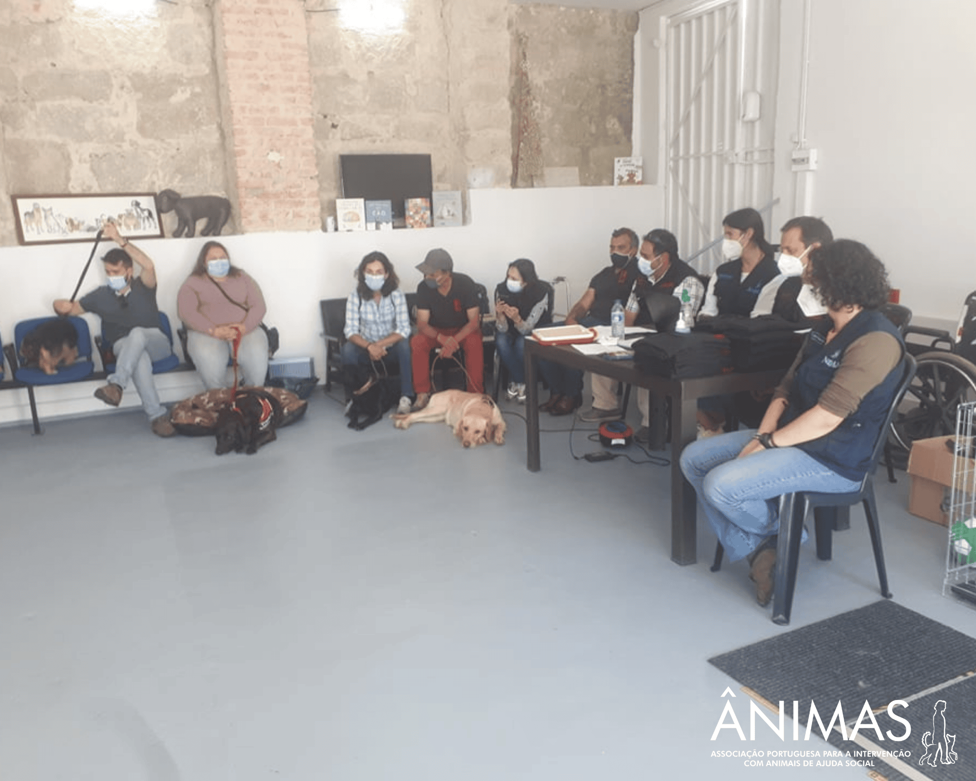 Intervenções Assistidas por Animais