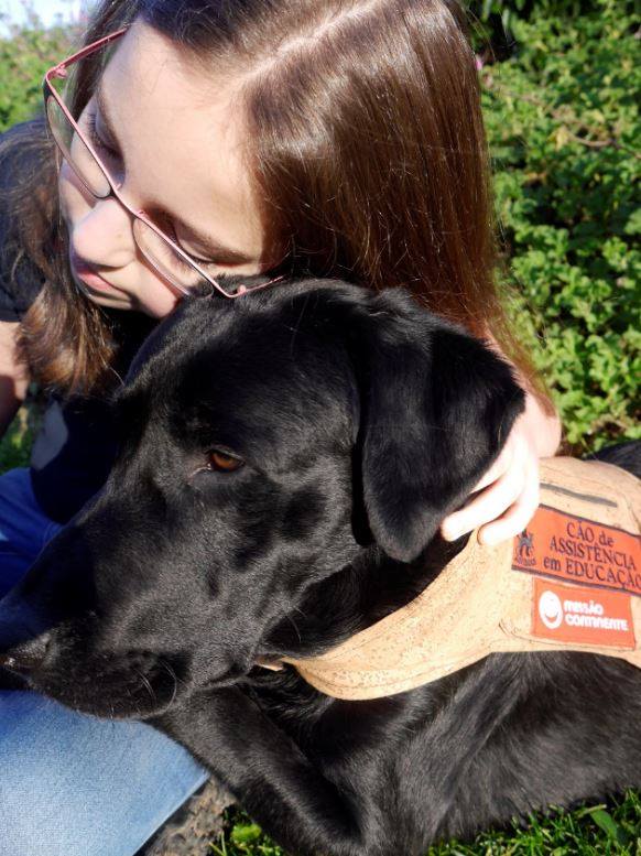 Como ter um Cão de Assistência