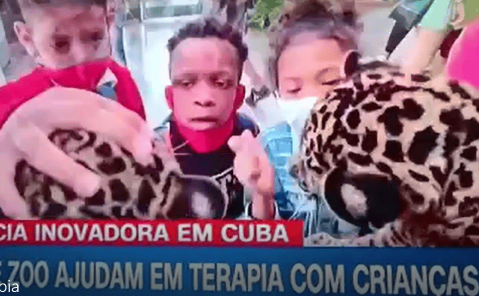 cria leopardo zoo crianças cuba